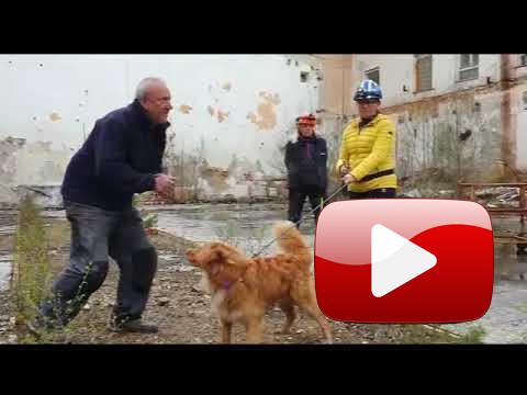 Intenzivní sutinový trénink je za námi