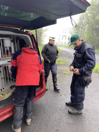 Samaritáni v akci - Samaritans in action 