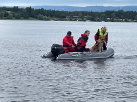Samaritáni trénují vodu - Samaritans train water 