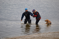 Fitmin Summer Dog Games a Euro Cup