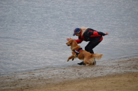 Fitmin Summer Dog Games a Euro Cup