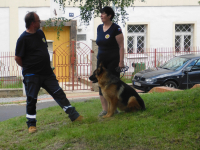 Ukázka výcviku psích samaritánů pro veřejnost
