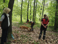 Bratronice 1. – 4.5. 25025