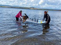Samaritáni trénují vodu - Samaritans train water 