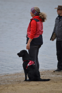 Fitmin Summer Dog Games a Euro Cup