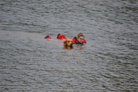 Fitmin Summer Dog Games a Euro Cup