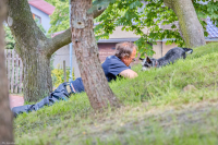 Ukázka výcviku psích samaritánů pro veřejnost